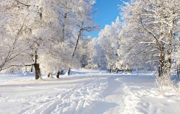 Useful Tips to Stay Healthy During the Winter Season