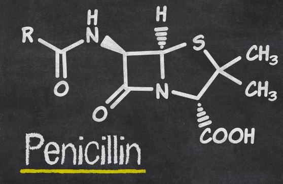 How does Penicillin Kill Bacteria