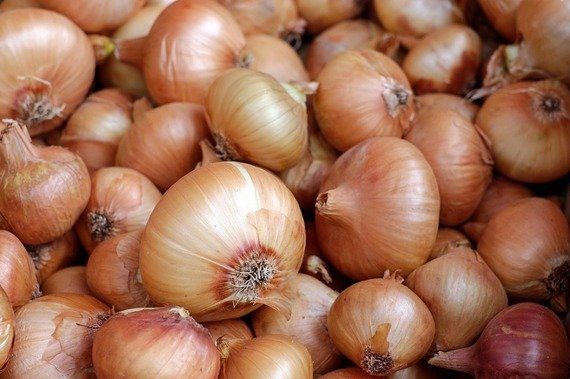 Onion Peel Possesses Powerful Antioxidant