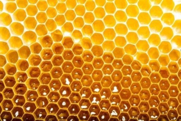 How to Consume Honey Without Getting Fat